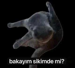 🤔 emoji @limonluqatiq @BrendUserBot Paketi 1 Telegram sticker 18 of 46