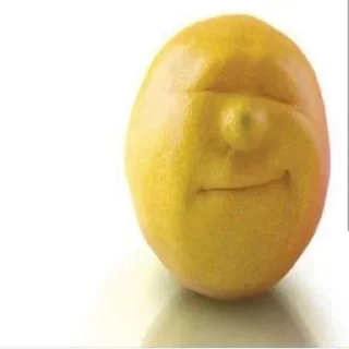 🍋 emoji памяти бобира... Telegram sticker 24 of 118