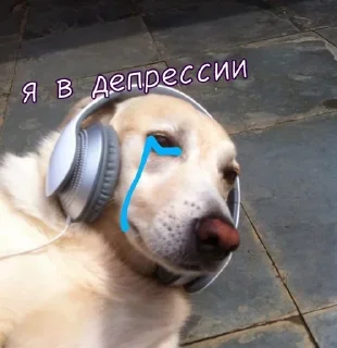 🥲 emoji Больше стикеров 👉🏻 @stickertg4 Telegram sticker 3 of 61