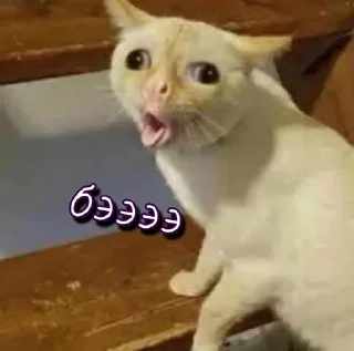 🤢 emoji Больше стикеров 👉🏻 @stickertg4 Telegram sticker 17 of 61
