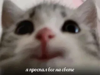 😍 emoji 💕Стики тут: @sekstick Telegram sticker 5 of 23
