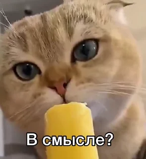 😳 emoji Не заходи сюда👉🏻 @stikiin Telegram sticker 21 of 50