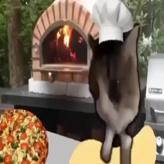 🍕 emoji СТИКЕР ПК АВТОР ОТ @Ahuseyin Telegram sticker 14 of 120