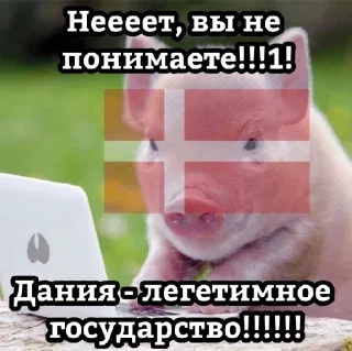 🐽 emoji Sverige | by @boxman4ever Telegram sticker 7 of 53