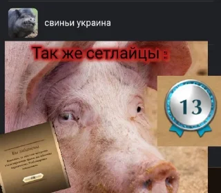 😈 emoji Сетлайцы Х Свинко by @offstikbot Telegram sticker 22 of 23