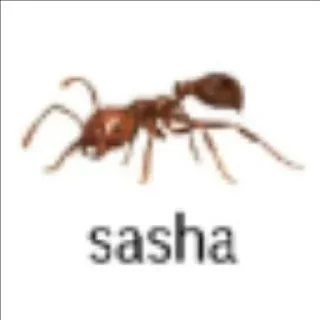 Sticker from сашенька лучший