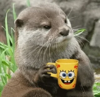 🥤 emoji Perevalovsk — @stckrRobot Telegram sticker 13 of 50