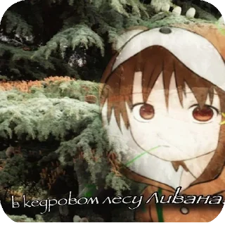 🖼 emoji LAIN Telegram sticker 24 of 25