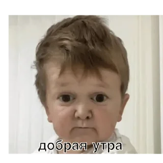 🌤️ emoji хасбик Telegram sticker 9 of 31