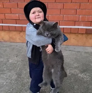 🐈 emoji Хасбик Telegram sticker 9 of 23