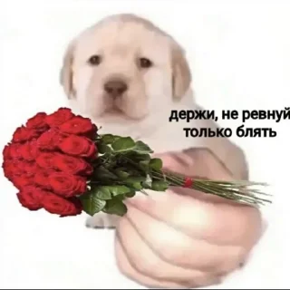 🥀 emoji ПИКЧИ Telegram sticker 6 of 14