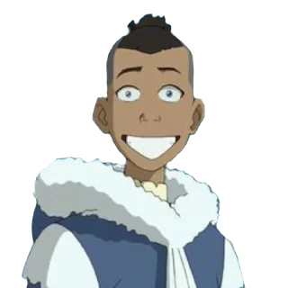 Sticker from sokka the best boy