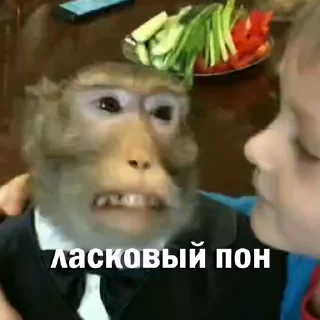 👨‍❤️‍👨 emoji Анонимный чат: @anonimnyi_chatbot 💓 Telegram sticker 8 of 46