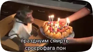 🎉 emoji Больше стиков тут: @stikery4 Telegram sticker 23 of 27