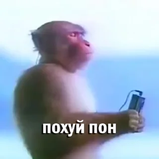 🎧 emoji Анонимный чат: @anonimnyi_chatbot 💓 Telegram sticker 16 of 46