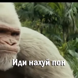 🖕 emoji Анонимный чат: @anonimnyi_chatbot 💓 Telegram sticker 5 of 46