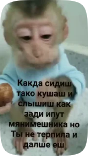 🙈 emoji Больше стиков тут: @stikery4 Telegram sticker 5 of 27