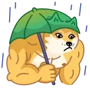 😒 emoji Doge Telegram sticker 19 of 35