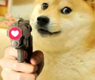 💛 emoji Doge Telegram sticker 20 of 46