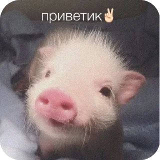 😜 emoji Еблан Telegram sticker 9 of 10