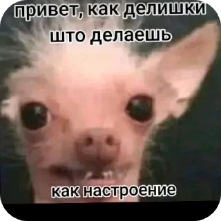🤲 emoji Абоба Telegram sticker 10 of 40