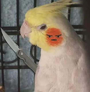 😠 emoji BSC Moments Telegram sticker 15 of 58