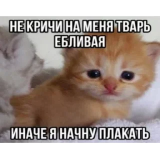 😢 emoji Скибиди Telegram sticker 17 of 75