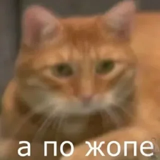 🤭 emoji анастасИз Telegram sticker 11 of 86