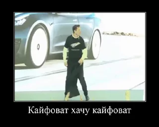 Sticker from Tajik Video Memes 😐 | @TojikShow