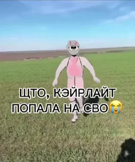 😱 emoji щто, кэйрлайт на сво @reedmi ➡️ @Ctikerubot Telegram sticker 9 of 18