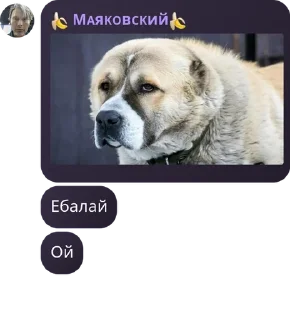🧮 emoji карман пигсоула pack by @QuotLyBot Telegram sticker 18 of 120