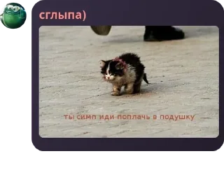 👨‍💻 emoji МОЧА pack by @QuotLyBot Telegram sticker 19 of 45