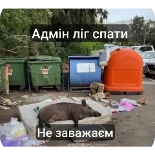 🌟 emoji Жабячих висєри pack by @QuotLyBot Telegram sticker 18 of 24