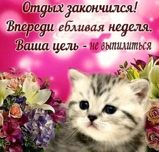 Sticker from май онест реактион ту зет инфо
