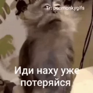 😏 emoji Сво мобилизация @floppa_5555 Telegram sticker 4 of 120