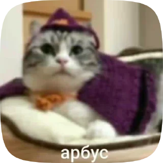🍉 emoji Сво мобилизация @floppa_5555 Telegram sticker 11 of 120