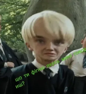 😡 emoji Drako Malfoy💚🐍💔 Telegram sticker 10 of 14