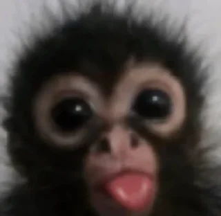 😝 emoji БИБИЗЯНЫ Telegram sticker 19 of 25