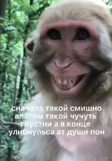 💀 emoji Набор стикеров от @Ctikerubot Telegram sticker 8 of 50