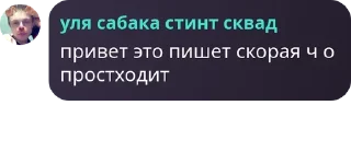 Sticker from стинт сабака сквад 🐶 pack by @QuotLyBot