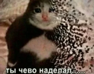 😿 emoji чилипиздрики Эндгейма Telegram sticker 17 of 68