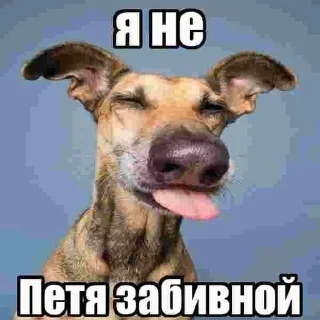 Sticker from Пес ебани
