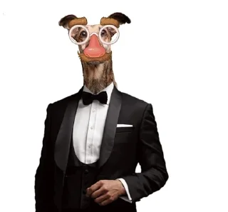 👓 emoji Пес ебани Telegram sticker 11 of 22
