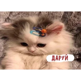 🌟 emoji няшкі Telegram sticker 12 of 30