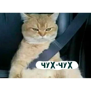 🌟 emoji няшкі Telegram sticker 16 of 30