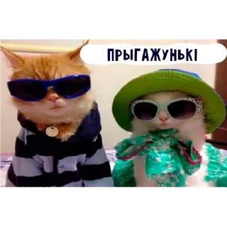🌟 emoji няшкі Telegram sticker 14 of 30
