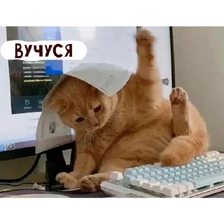 🌟 emoji няшкі Telegram sticker 10 of 30