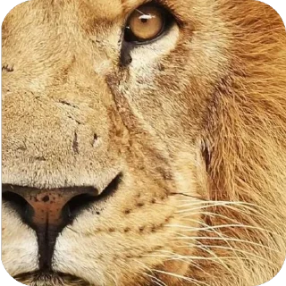 🫥 emoji Говно Telegram sticker 7 of 15
