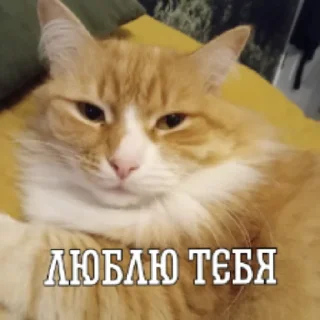 😍 emoji ▪︎■♤|HACKER_GARIK|♤■▪︎ Telegram sticker 8 of 10