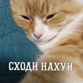 😘 emoji ▪︎■♤|HACKER_GARIK|♤■▪︎ Telegram sticker 5 of 10